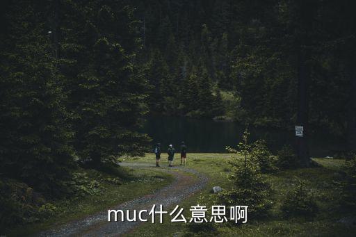 muc，Muc是什么意思