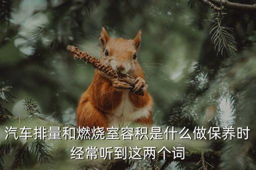 汽車排量和燃燒室容積是什么做保養(yǎng)時經(jīng)常聽到這兩個詞