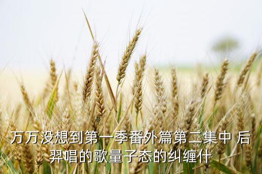 萬(wàn)萬(wàn)沒(méi)想到第一季番外篇第二集中 后羿唱的歌量子態(tài)的糾纏什