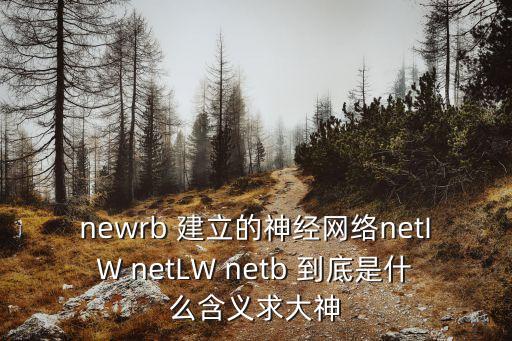 newrb 建立的神經(jīng)網(wǎng)絡(luò)netIW netLW netb 到底是什么含義求大神