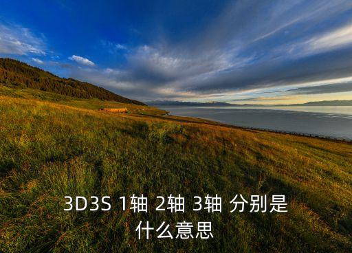 3D3S 1軸 2軸 3軸 分別是什么意思