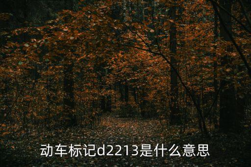 動車標記d2213是什么意思