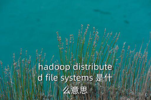 hadoop distributed file systems 是什么意思