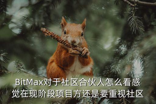 BitMax對(duì)于社區(qū)合伙人怎么看感覺(jué)在現(xiàn)階段項(xiàng)目方還是要重視社區(qū)