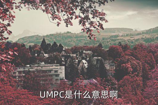 UMPC是什么意思啊