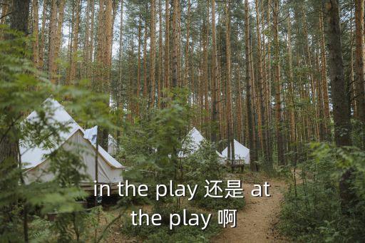 in the play 還是 at the play 啊