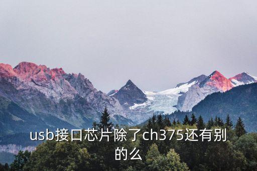 usb接口芯片除了ch375還有別的么