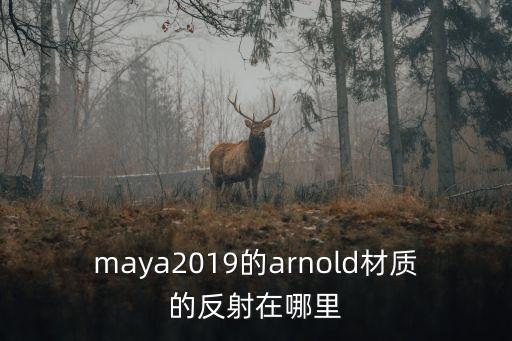 maya2019的arnold材質(zhì)的反射在哪里