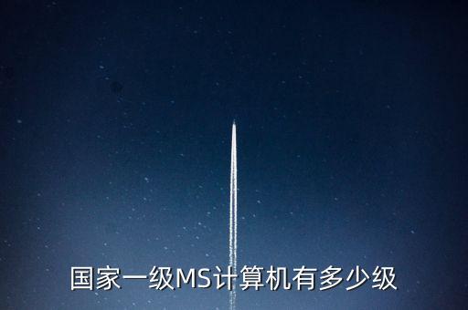 國(guó)家一級(jí)MS計(jì)算機(jī)有多少級(jí)