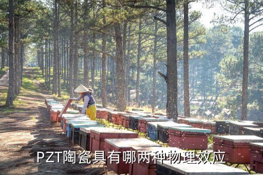 PZT，PZT陶瓷具有哪兩種物理效應(yīng)