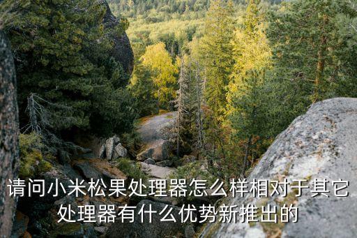 小米松果，小米松仁粥的做法