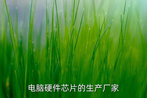 芯片廠家，全球最大芯片制造商