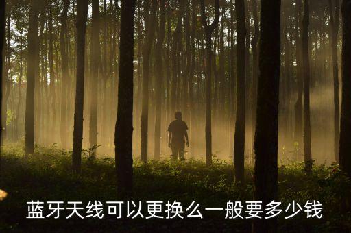 藍牙天線可以更換么一般要多少錢