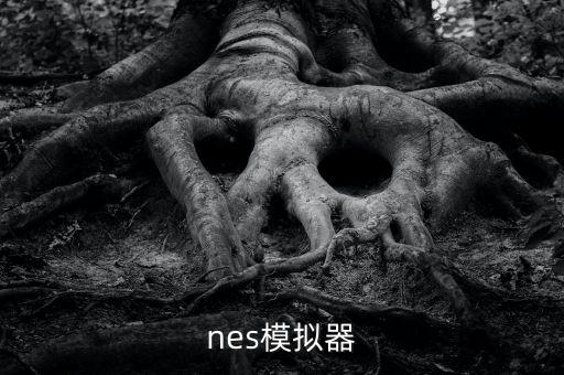 nes模擬器