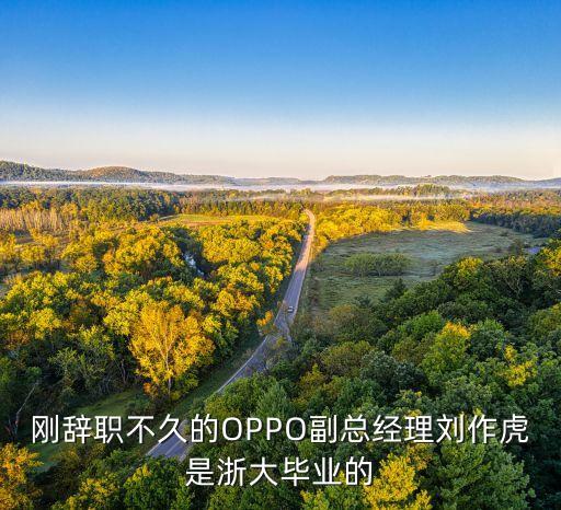 劉作虎，剛辭職不久的OPPO副總經(jīng)理劉作虎是浙大畢業(yè)的