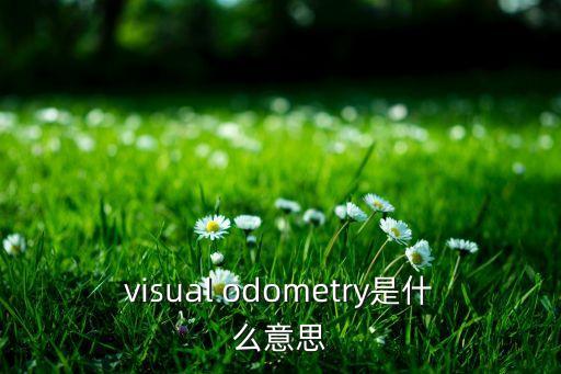 visual odometry是什么意思