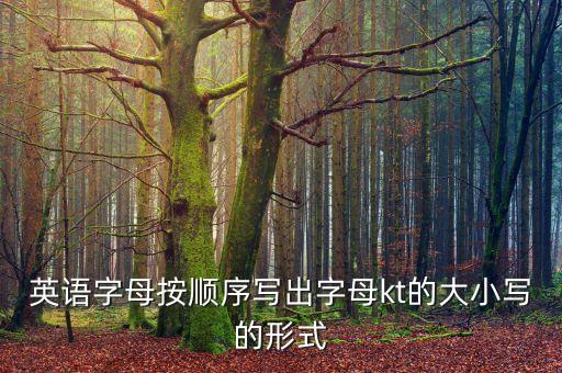 英語字母按順序寫出字母kt的大小寫的形式