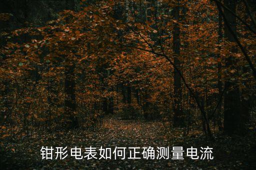 鉗形電表如何正確測量電流
