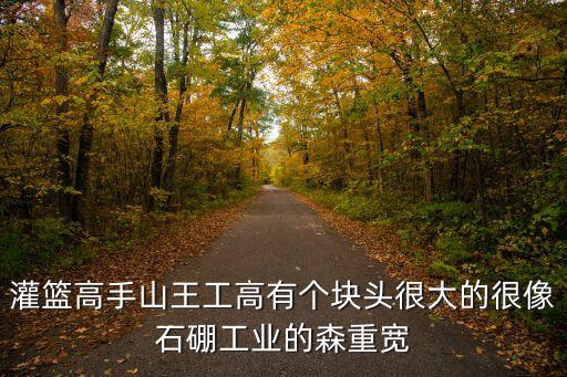 山王高工，灌籃高手山王工高有個(gè)塊頭很大的很像石硼工業(yè)的森重寬