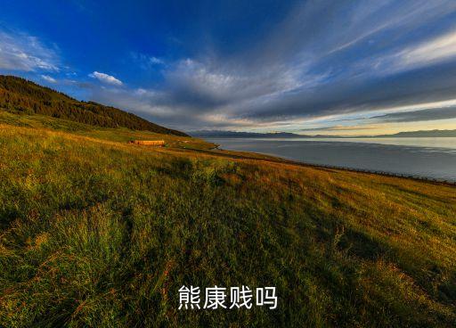 熊康賤嗎