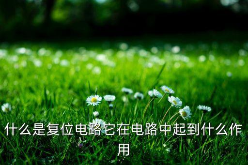 復(fù)位電路，什么叫高電平復(fù)位電路什么叫低電平復(fù)位電路