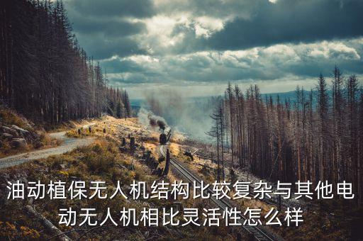 油動(dòng)植保無人機(jī)結(jié)構(gòu)比較復(fù)雜與其他電動(dòng)無人機(jī)相比靈活性怎么樣