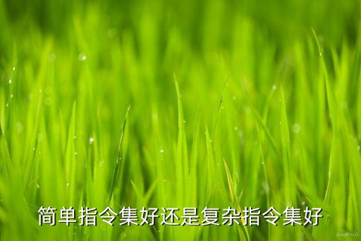 復(fù)雜指令集，簡單指令集好還是復(fù)雜指令集好