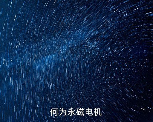 何為永磁電機