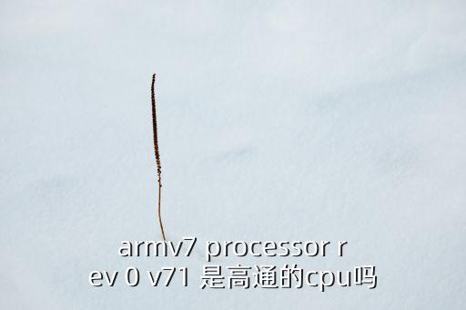 armv7，minipc 網(wǎng)絡(luò)安卓播發(fā)器使用安兔兔測試 在參數(shù)里面顯示 ARMV7