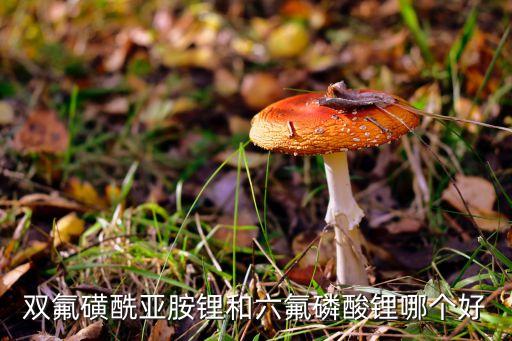 雙氟磺酰亞胺鋰和六氟磷酸鋰哪個好