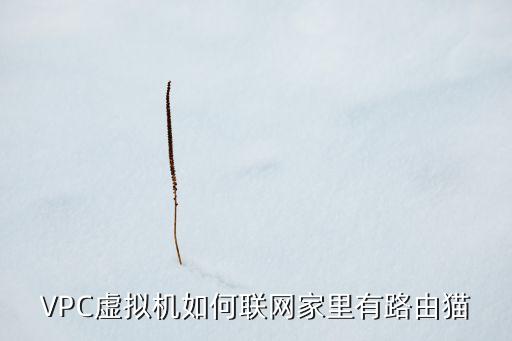 VPC虛擬機(jī)如何聯(lián)網(wǎng)家里有路由貓