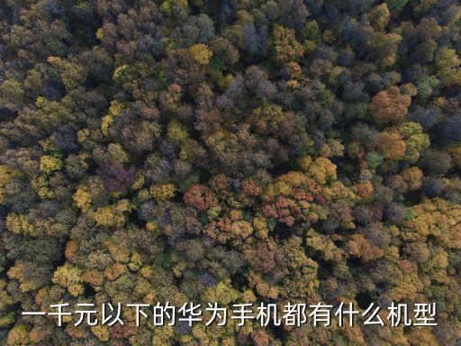 一千元以下的華為手機都有什么機型