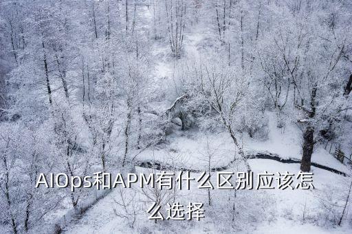 AIOps和APM有什么區(qū)別應(yīng)該怎么選擇
