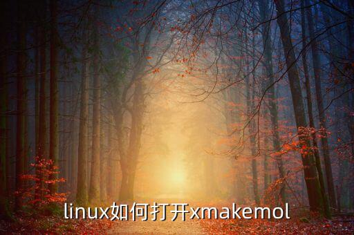 xmake，linux如何打開xmakemol