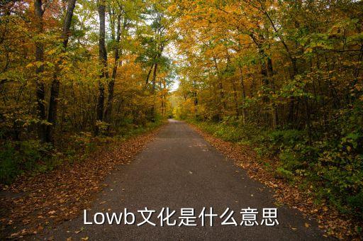 lowb，CF戰(zhàn)隊(duì)名叫LowB204 幫忙給設(shè)計(jì)一下 要合法可以用的
