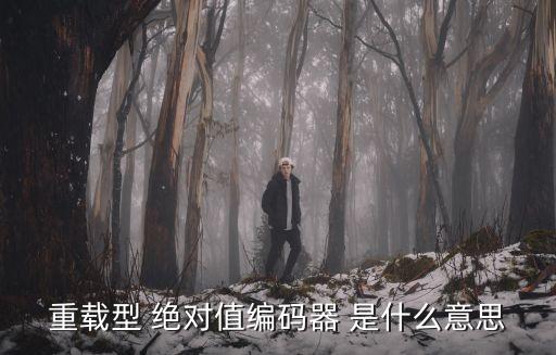 重載型 絕對值編碼器 是什么意思