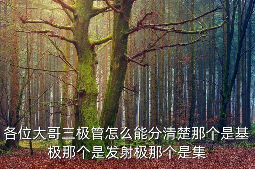 各位大哥三極管怎么能分清楚那個是基極那個是發(fā)射極那個是集