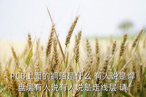 PCB上面的銅箔是什么 有人說是焊盤層有人說有人說是走線層 請