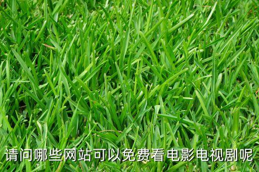 請(qǐng)問(wèn)哪些網(wǎng)站可以免費(fèi)看電影電視劇呢