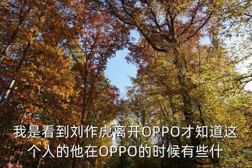 我是看到劉作虎離開OPPO才知道這個(gè)人的他在OPPO的時(shí)候有些什