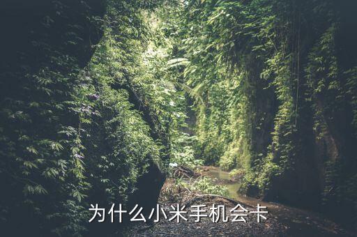 小米手機(jī)卡，為什么小米手機(jī)會(huì)卡
