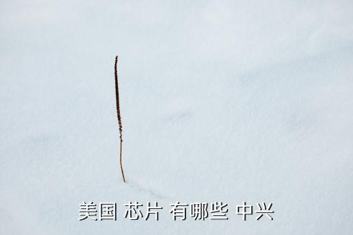 通信芯片，請(qǐng)問各位支持24g通信的芯片有哪些公司的型號(hào)多少謝謝了