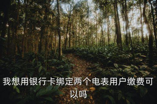 我想用銀行卡綁定兩個電表用戶繳費可以嗎