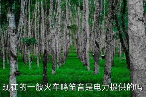 火車鳴笛聲，火車連續(xù)發(fā)出兩聲鳴笛代表什么