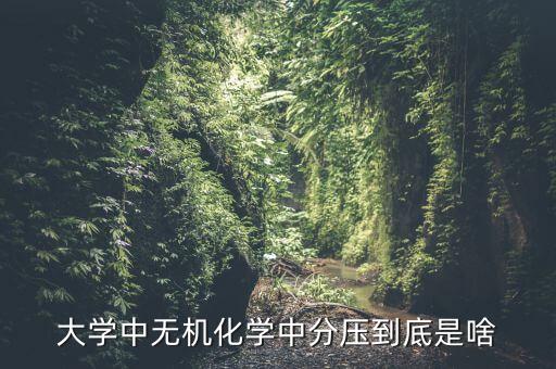 分壓，分壓作用是什么和公式