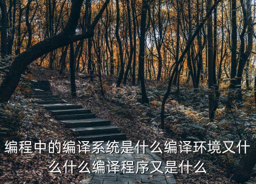 編程中的編譯系統(tǒng)是什么編譯環(huán)境又什么什么編譯程序又是什么