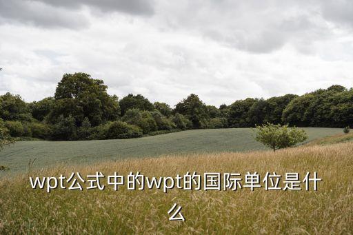 wpt公式中的wpt的國際單位是什么