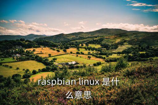 raspbian linux 是什么意思