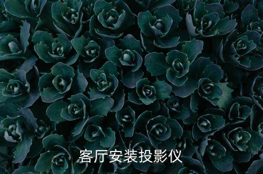客廳安裝投影儀