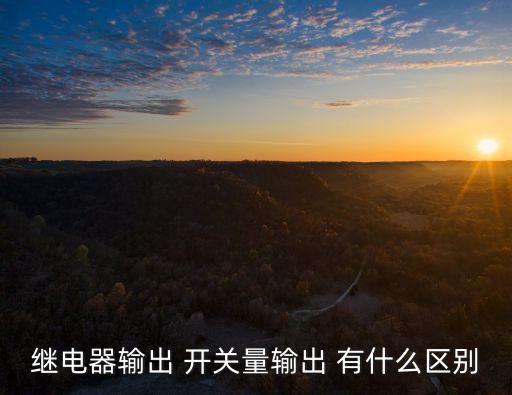 繼電器輸出 開關(guān)量輸出 有什么區(qū)別